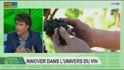 Innover dans l'univers du vin: Olivier Midière et Alexis Raoux dans Green Business - 03/11 4/4