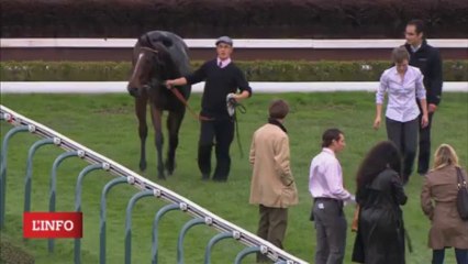 réaction à chaud de JP GALLORINI après la chute de ceasar's palace dans le grand prix d'automne 2013