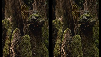 Dexter Britain - Chasing Time