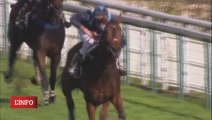 réaction de David Cottin apres le succes d'extreme sud dans le prix fondeur 2013