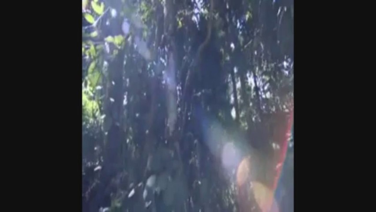 "Misty" composed by Erroll Garner and performed by Patrick Cousin de Haes