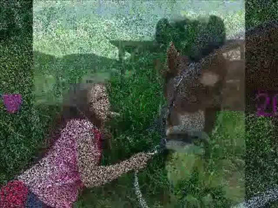 Anaïs & Chipie ♥
