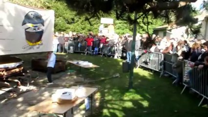 5 mètres de diamètre : si ça c’est pas de la tarte !