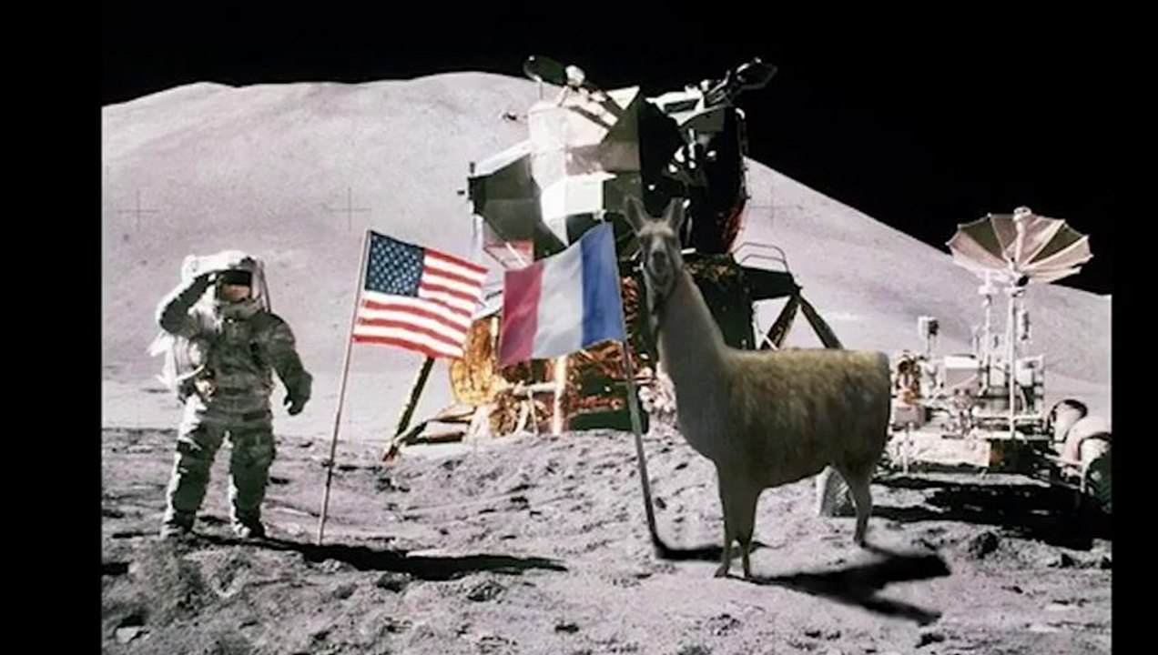 Serge le Lama - Lamaoutai - Le Lama volé, abandonné dans le tram!!!