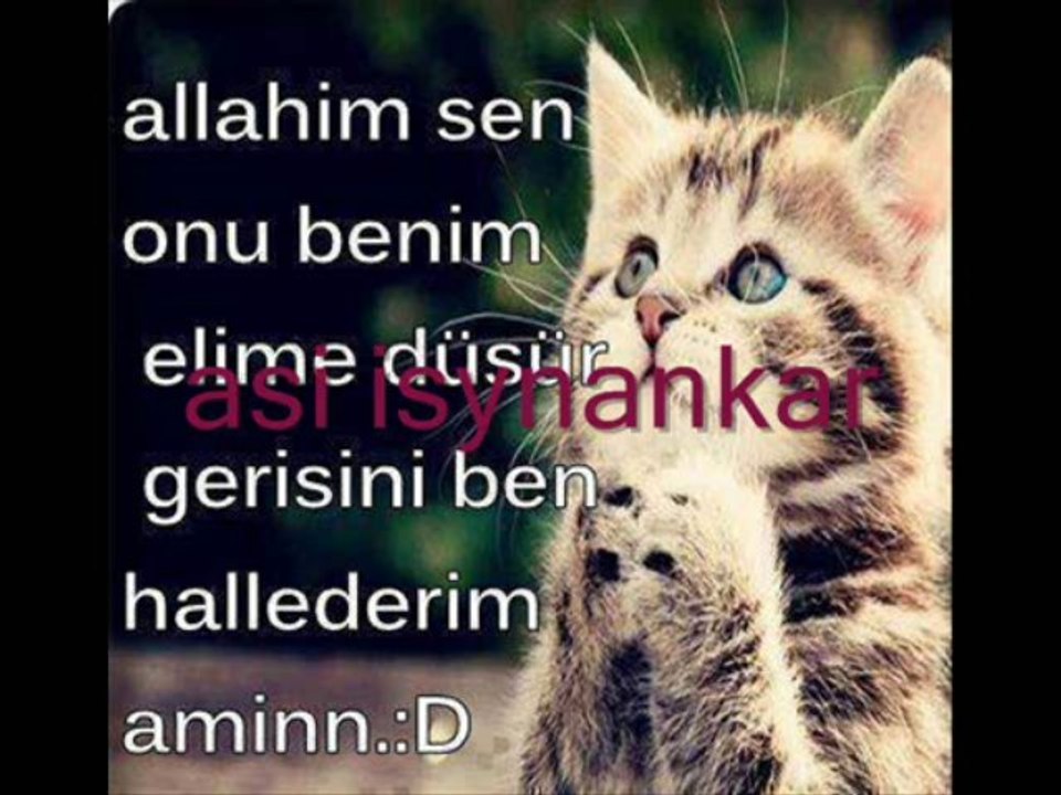 baha    aşk acısı