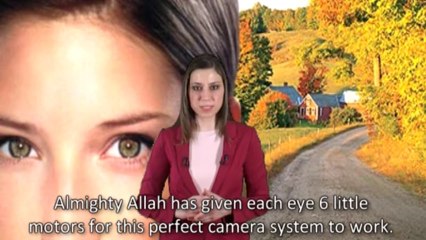What Makes Our Eyes Superior Than The Cameras?