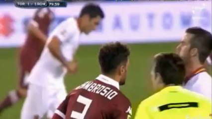 Torino - AS Roma 1:1 All Goals & Highlights (03.11.2013)