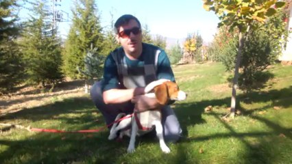 SIRADIŞI MÜFTÜ VE KÖPEĞİ MİŞMİŞ (HAYVANLARA ŞEFKATLİ OLUN)