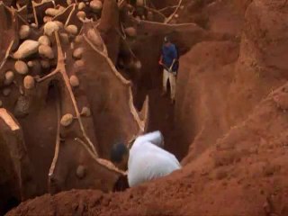 SUBTERRANEAN ANT STRUCTURES.... GIANT!