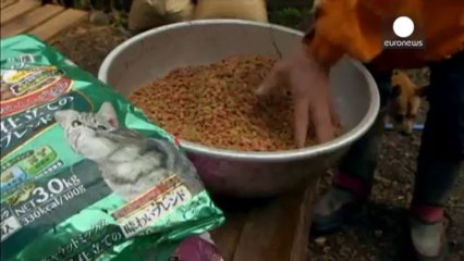 Fuel rods to be removed from Fukushima in high-risk operation