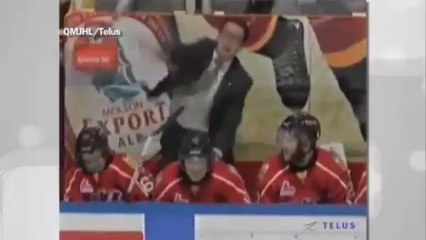 Buz hokeyi antrenörü çıldırmış