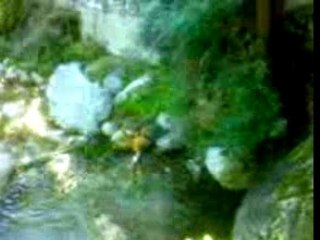 Lone de fou (julio is camse and vins)