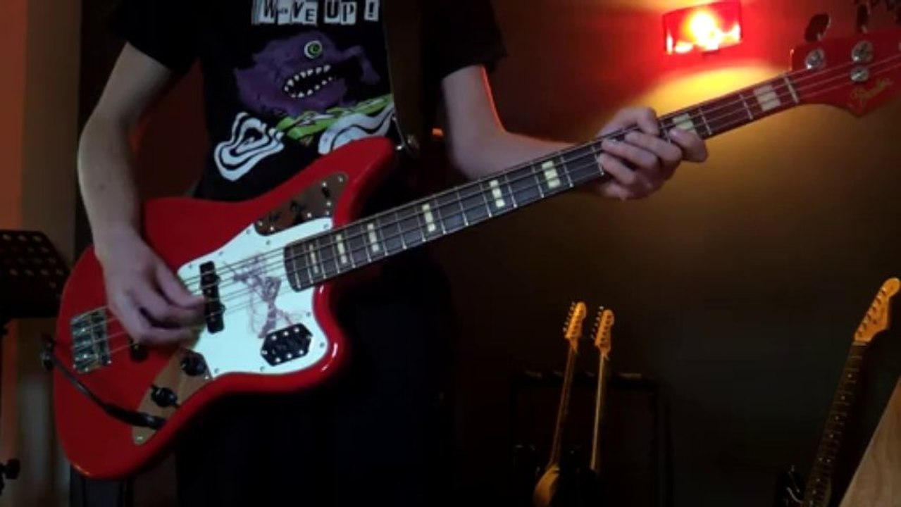 Silver Jews - Honk if you're lonely (play along, cover)