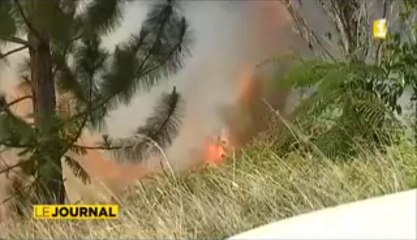 Spectaculaire incendie sur les hauteurs de Mahina