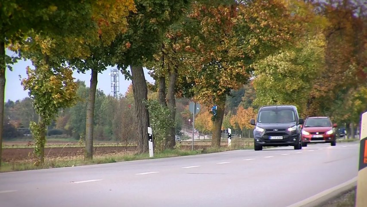 Ford transit connect: nutztier im frack