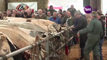 4 novembre 2013 - Festival viande élevage