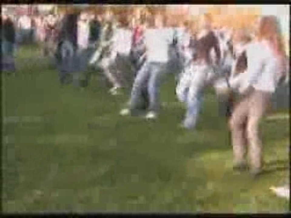 heelnederlanddanst
