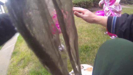 Hilarious Masked Man Makes Kids Cry at Halloween