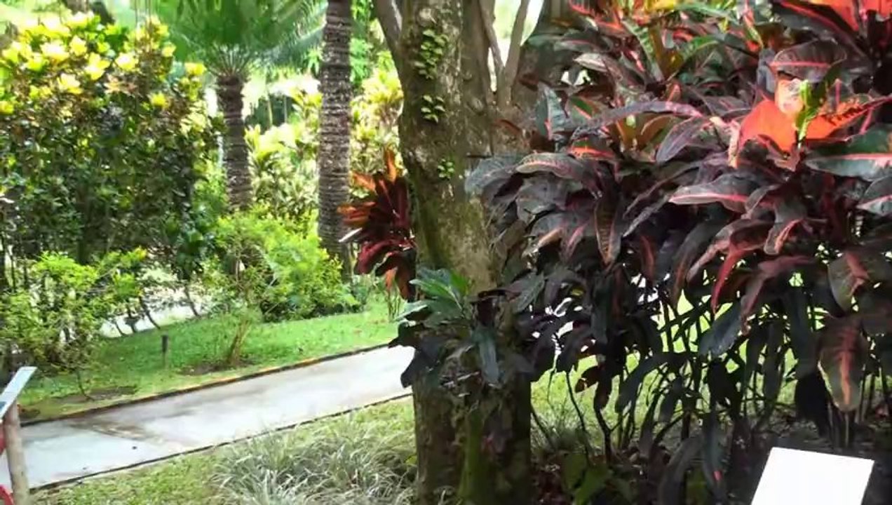 Le Jardin botanique de Deshaies, ex-villa Coluche