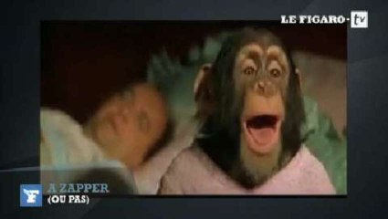 A zapper (ou pas) : un singe qui parle et un film Bollywood très romantique (lundi 4 novembre)