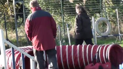 Natacha & Jipsy agility