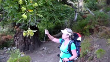 GR20 octobre 2013 étape 1