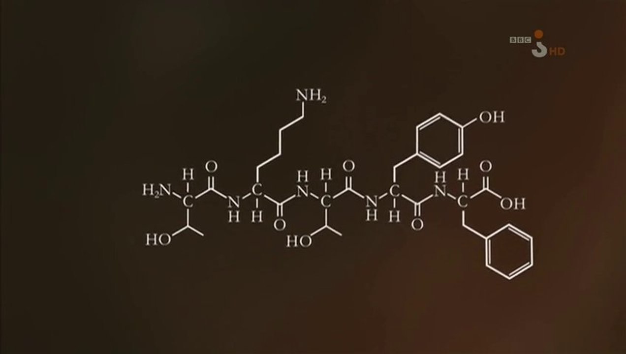 Cuda życia. Odc.3. Przepiękne formy życia.