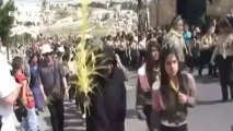 Procissão de Ramos inicia celebrações da Semana Santa em Jerusalém