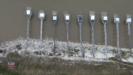 Cap Sud Ouest l' Estuaire Charente Maritime