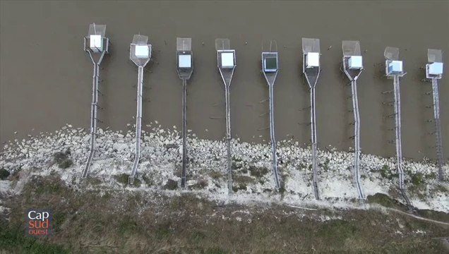 Cap Sud Ouest l' Estuaire Charente Maritime