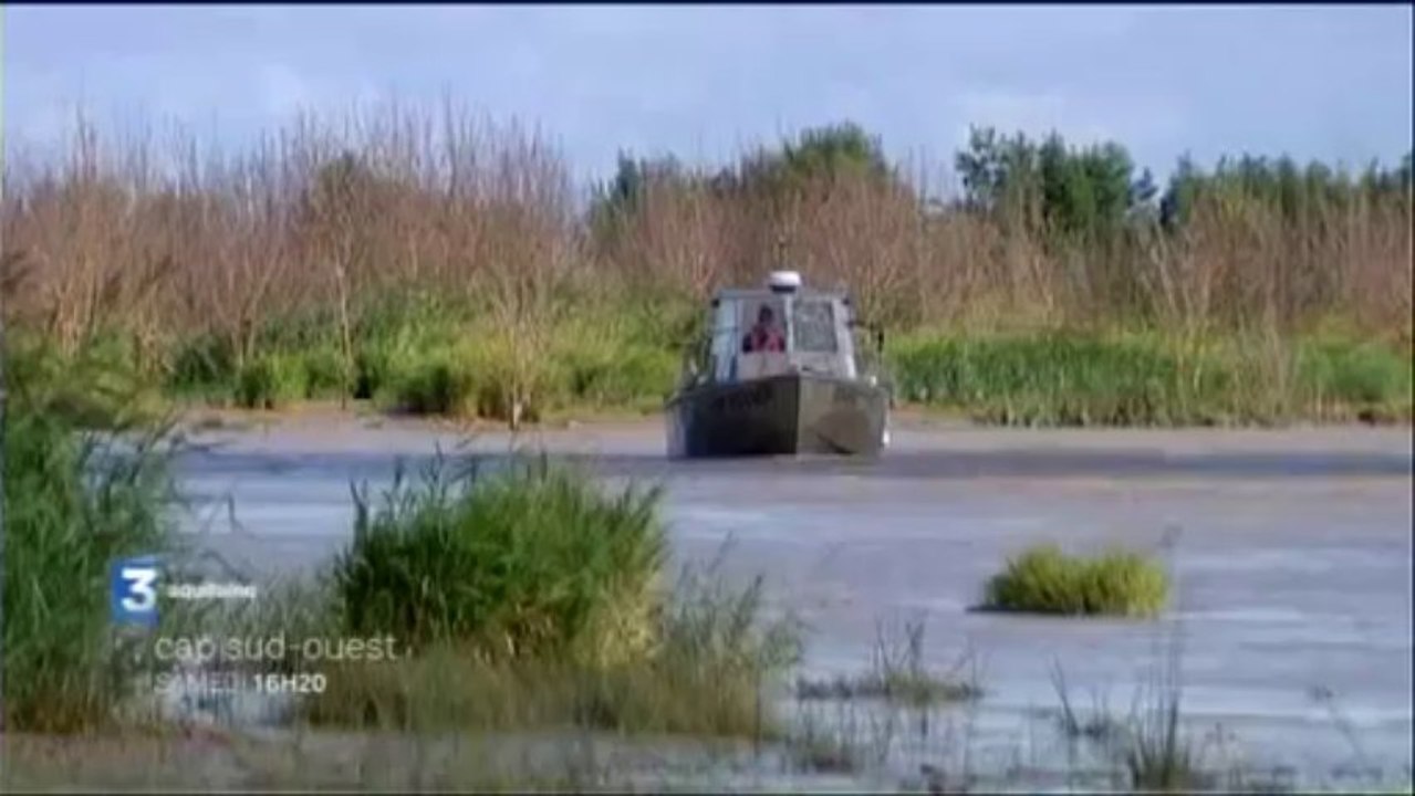 Cap Sud-Ouest - Les îles de l'estuaire de la Gi...