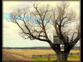 Ahmet Selçuk İlkan & Coşkun Sabah - Anılar