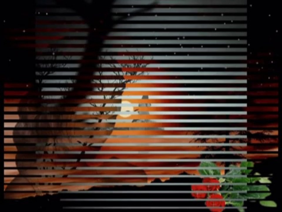 Ahmet Selçuk ilkan-Unutmayı unuttum (DAMAR ŞİİR)