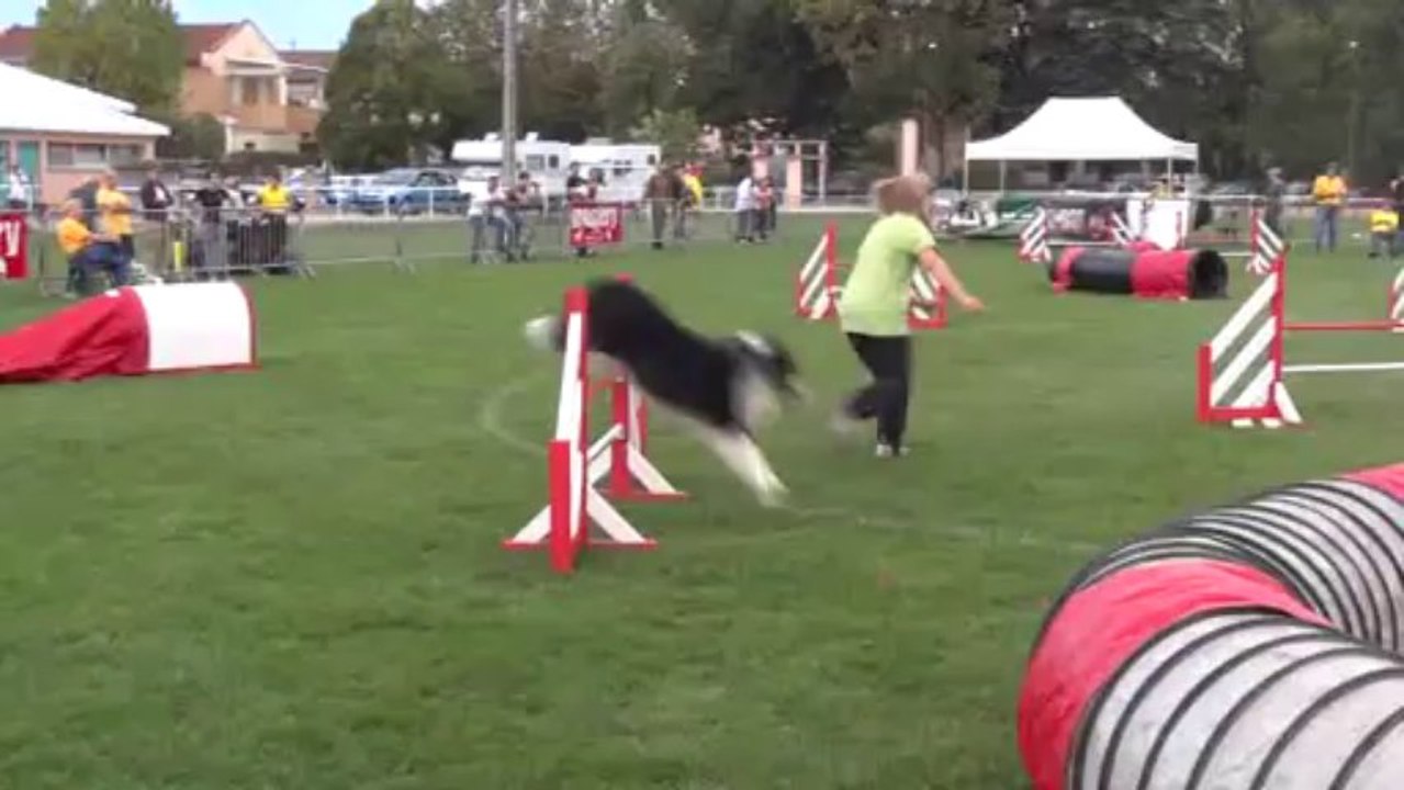 20131019185619