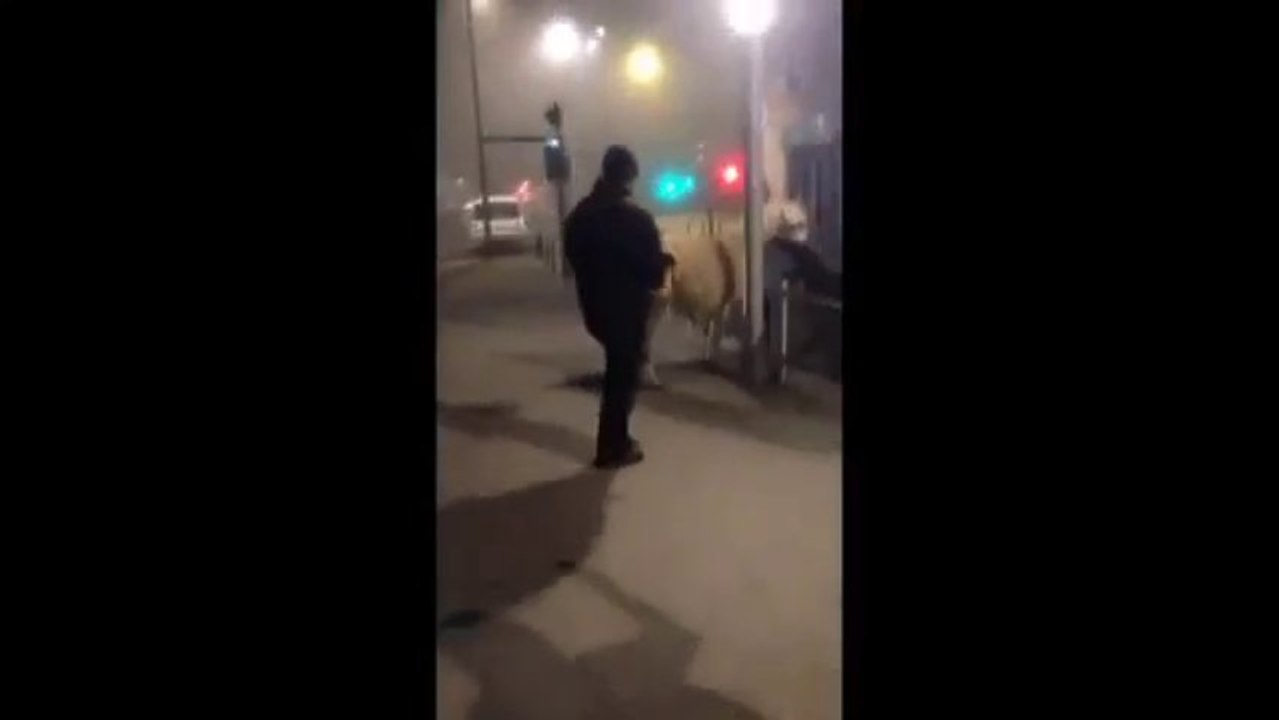 Serge le Lama en plein milieux du Tramway officiel