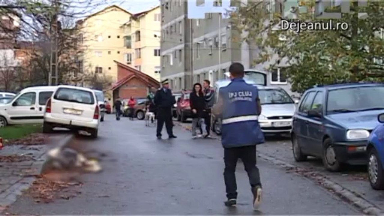 decedata al rozelor dejeanul