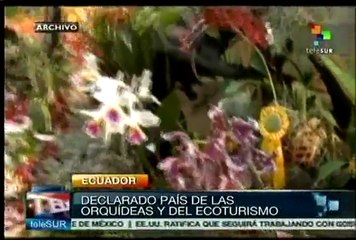 Ecuador declarado el país de las orquídeas y del ecoturismo