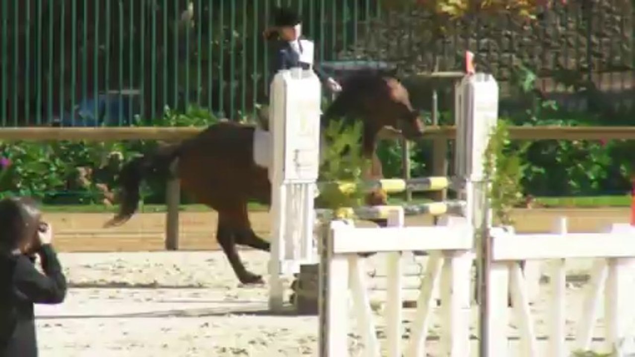 Obélix, Pompadour 2013