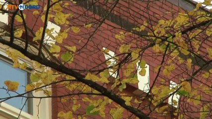 Docu: Acht Groningse studenten verongelukten in 1963 - RTV Noord