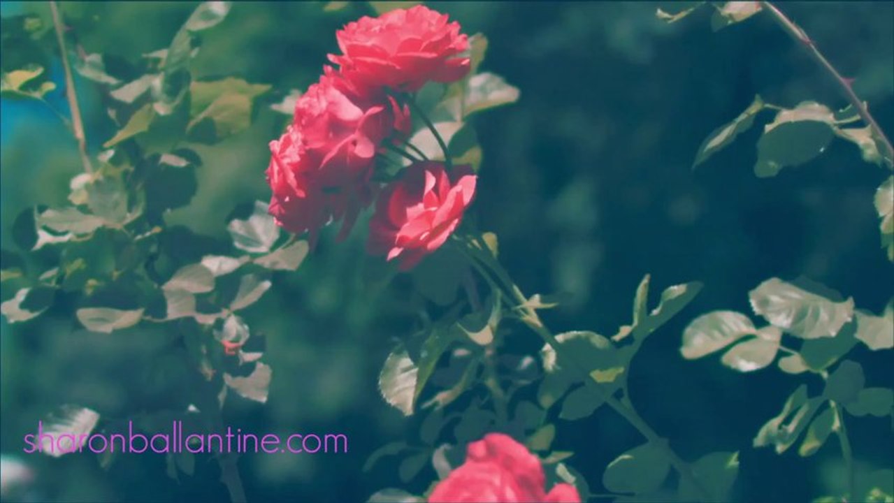 Make the Law of Attraction Work When You Push Negative Thoughts Aside