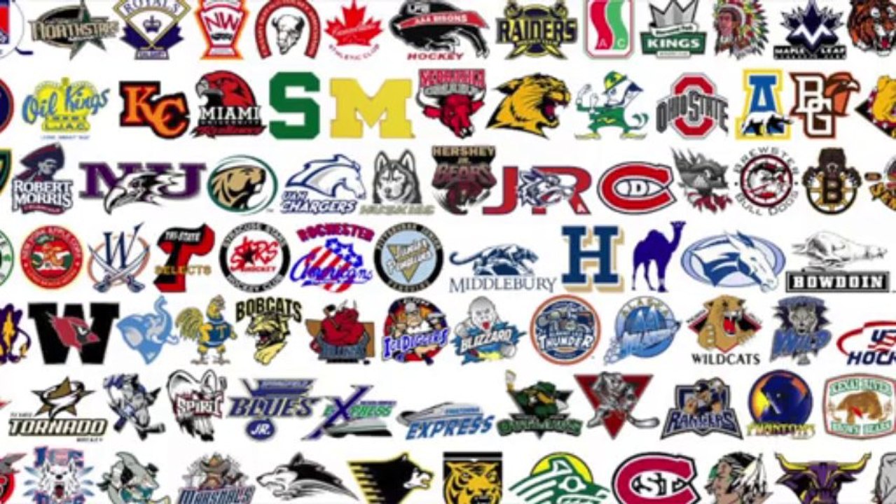 Get to Know David Montesano