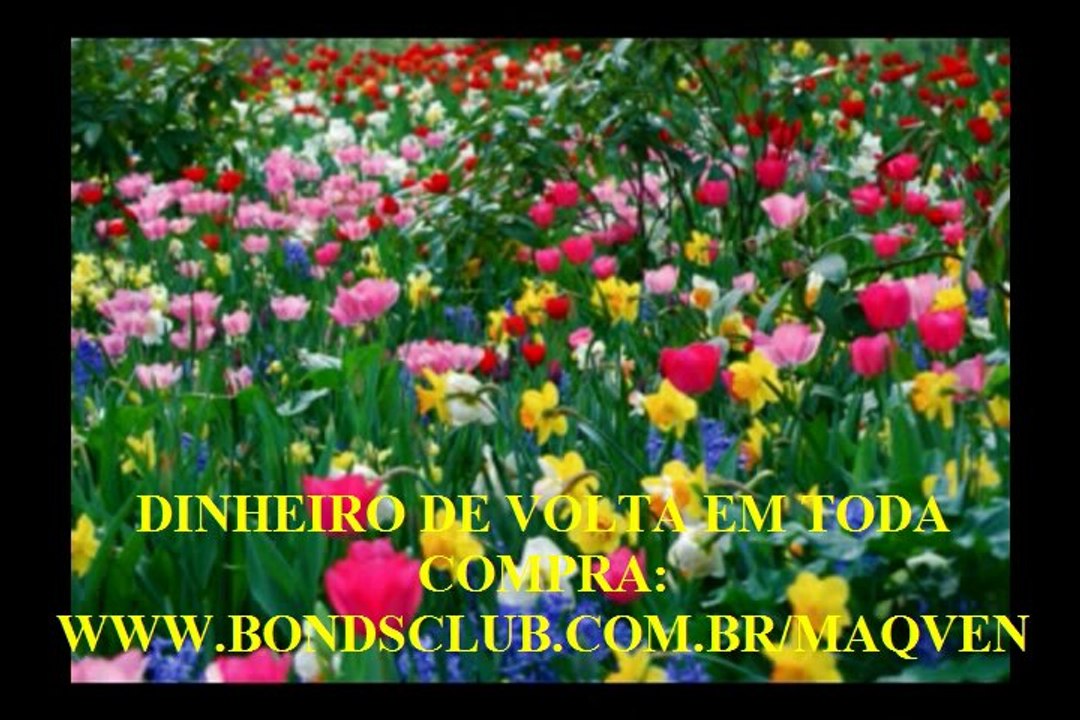 MATEUS  CAP 1  - A BIBLIA NA LINGUAGEM DE HOJE