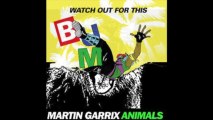 Watch Out For These Animals - Major Lazer (Hunter Siegel Remix) vs Martin Garrix [G. Sironi Mashup]
