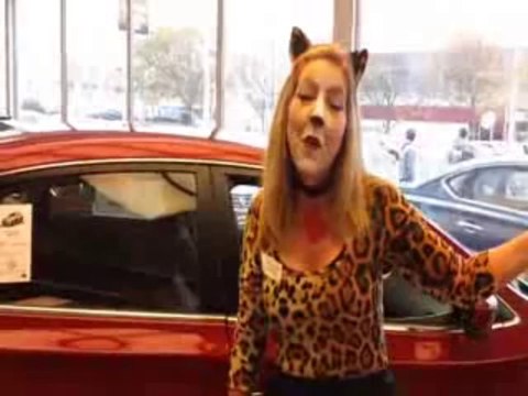 Best Nissan Dealer in Bel Air, MD| Where is the best place to buy a new Nissan near Bel Air, MD