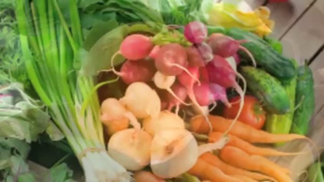 Nutritional Health - How to Eat a Raw Food Diet