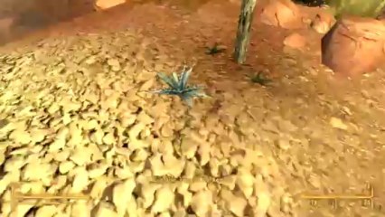 [PC] Fallout New Vegas - Partie 41 - Tête brûlée ! (Honest Hearts)