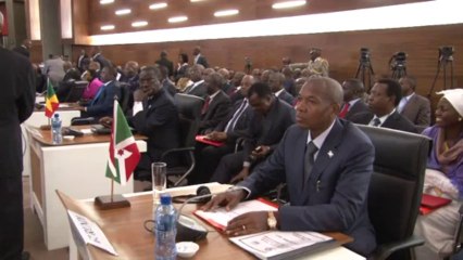 African leaders address DR Congo issues at conference