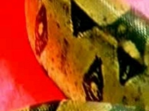 perle lama & krys-viens avec moi