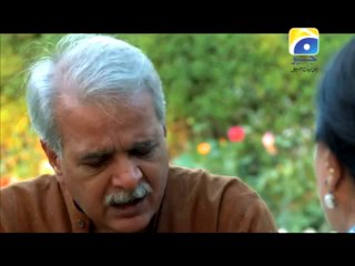 Jo Chaley Tu Jaan Sey Guzar Gaye Episode 13