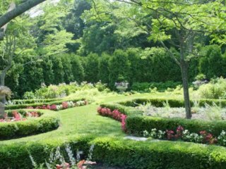 Elgajiye - Cafe Anatolia